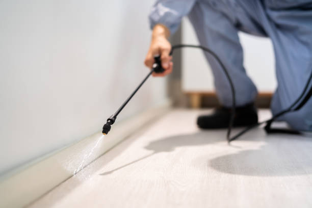 Licensed Cockroach Control service in Cary, NC - Nex Pest Control
