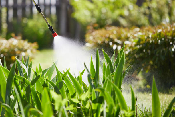 24/7 Emergency Cockroach Control experts in Cary, NC